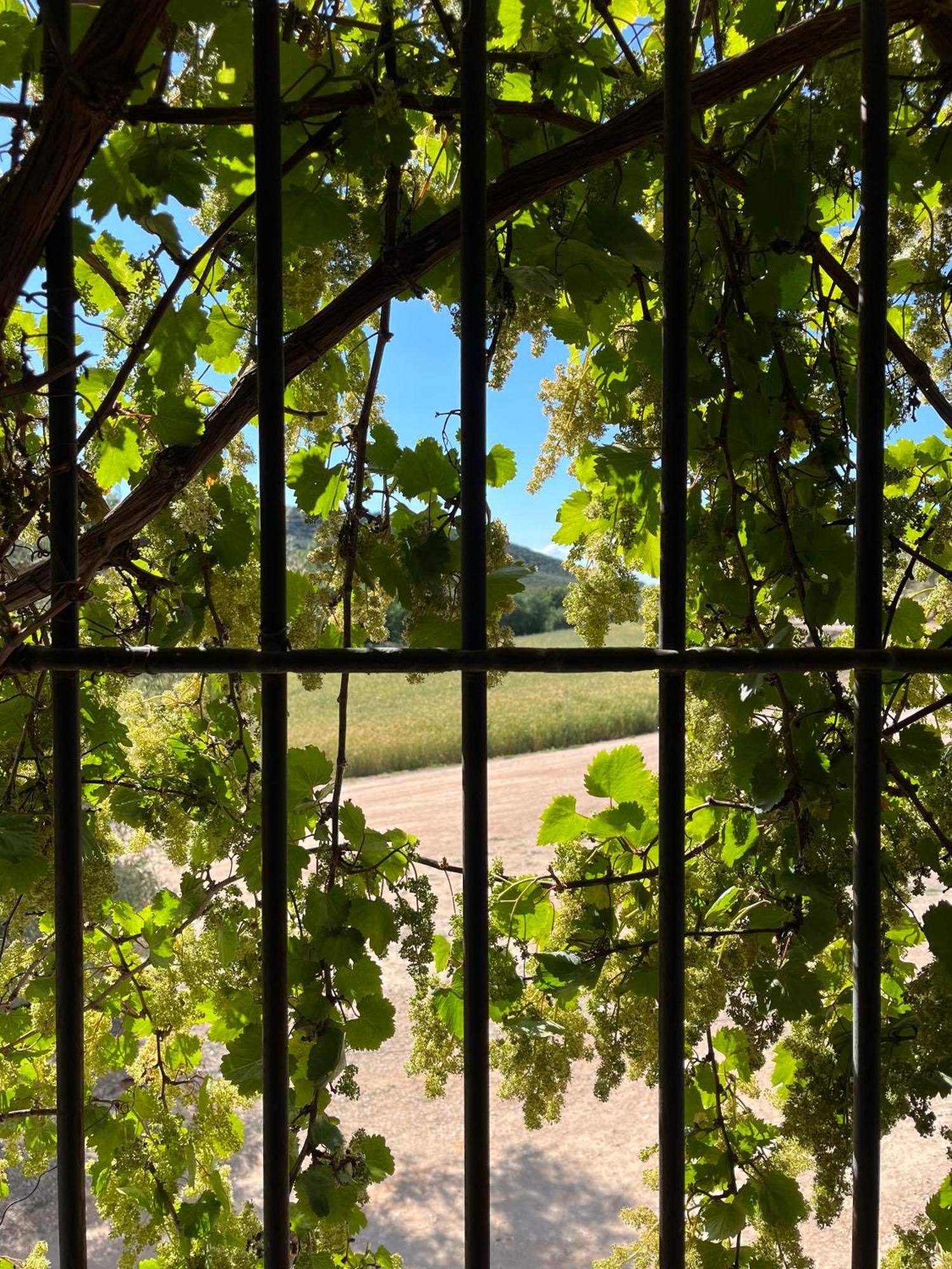 ויינואבה דל טראבוקו El Patio Del Molino - Hostal Rural מראה חיצוני תמונה